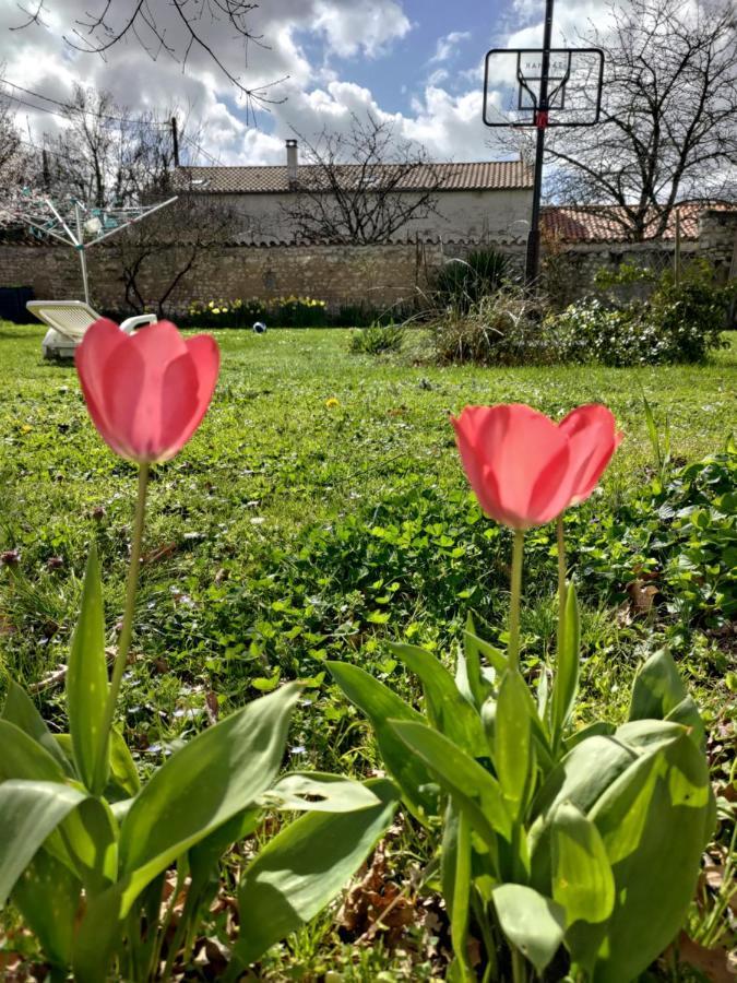 Готель Au Clos Des Figues Chambon  Екстер'єр фото