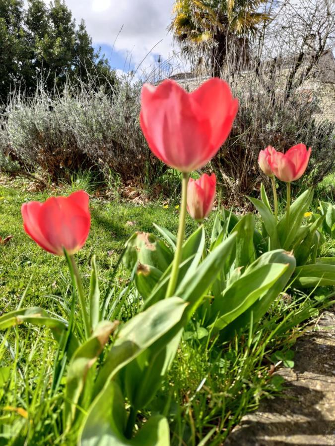 Готель Au Clos Des Figues Chambon  Екстер'єр фото