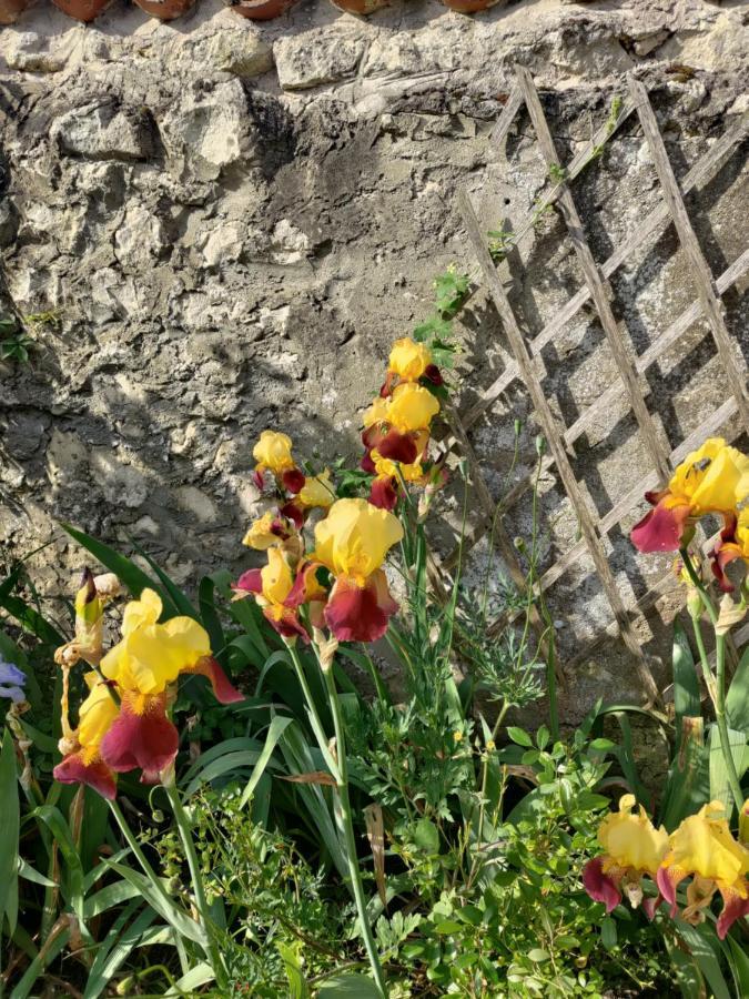 Готель Au Clos Des Figues Chambon  Екстер'єр фото
